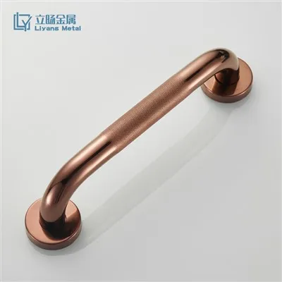 Moderne Grab Bars pour Douche
